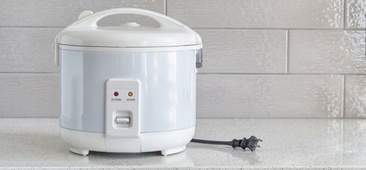 Black and Decker Rice Cooker How to Use?